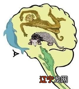 文化的释义 only.with.NET3.55.2.0.0.2004-2011Pty.报告