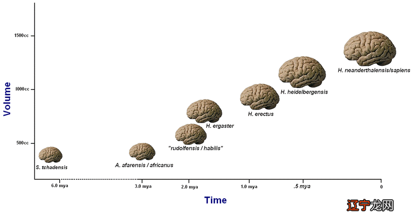 文化的释义_食品安全法释义_彭祖文化 两汉文化 标志文化