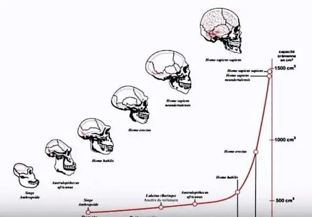 文化的释义 only.with.NET3.55.2.0.0.2004-2011Pty.报告