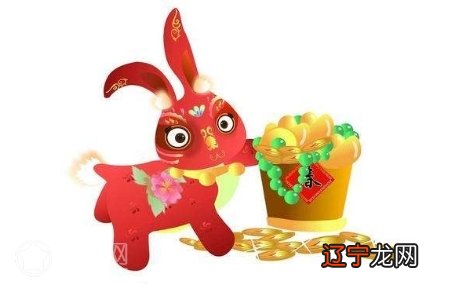 属兔的财运和运势生肖属相其实兔财运情况