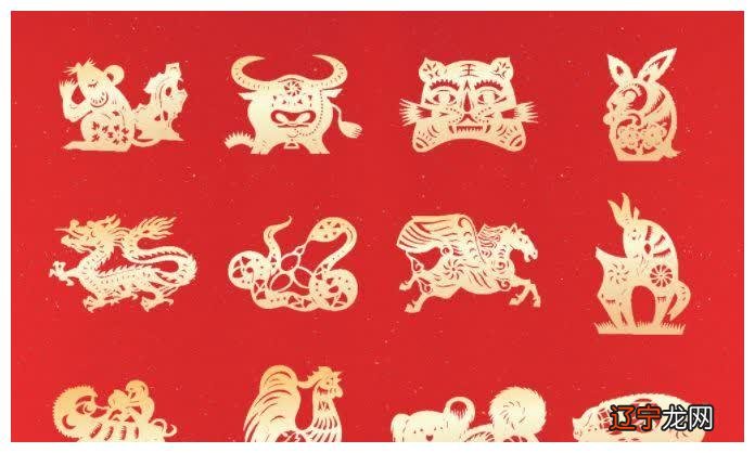 属兔的财运和运势生肖属相其实兔财运情况