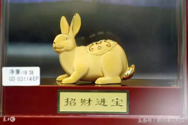 属兔的财运和运势生肖属相其实兔财运情况