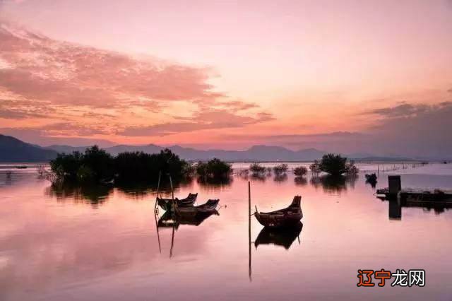 八字四柱 有刚者，在驯服调致其和，福禄踵至。