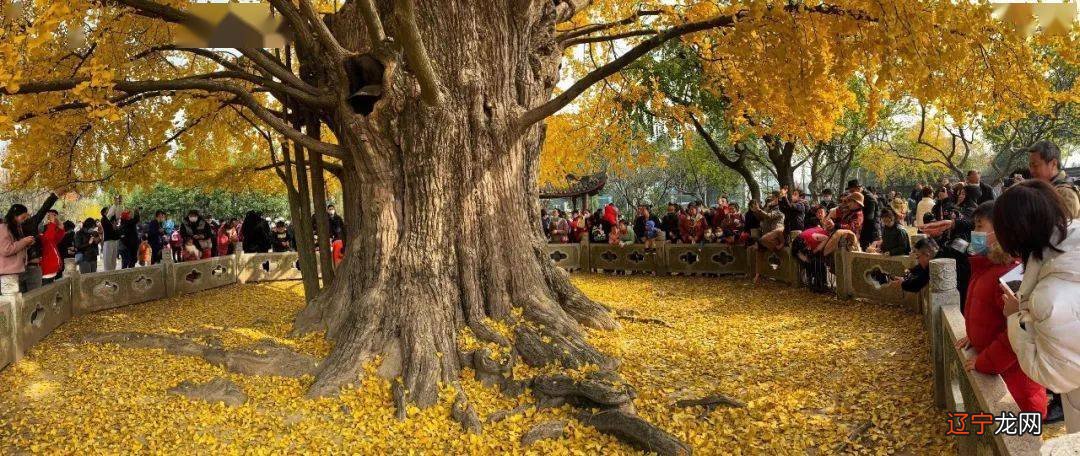 八字算命术:推论其祖上、父母、兄弟、妻妾子息等六亲情况