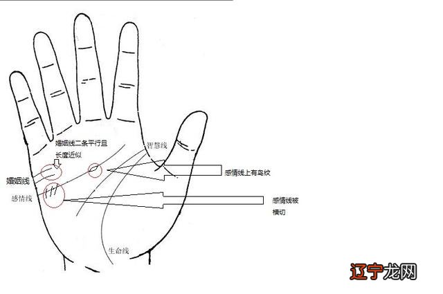 手相学中生命线也称之为“地纹”，是我们手相中的三大主线之一