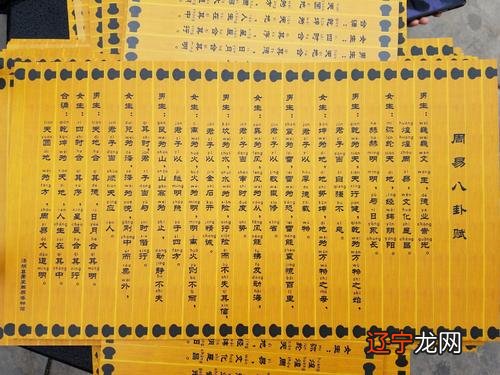 属猪女和什么属相最配，属虎和属猪合不合财第一