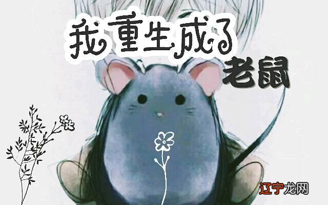 不同年份出生的属鼠人2020年多大了出生