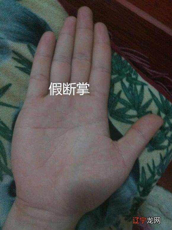 掌纹看健康_掌纹看运势图解_事业线图解看手上掌纹