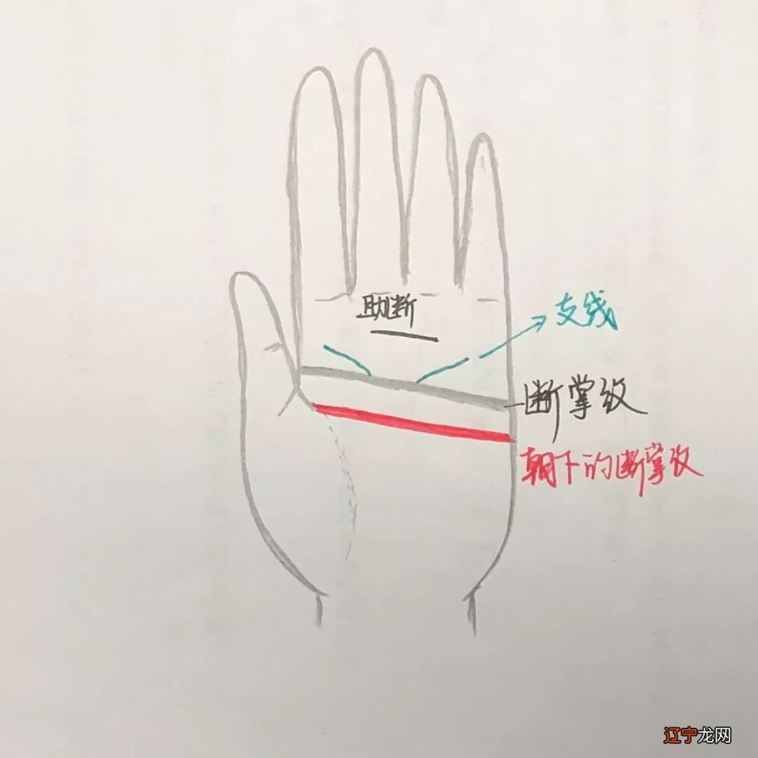 掌纹看运势图解_事业线图解看手上掌纹_掌纹看健康