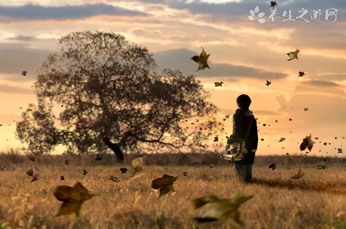 如何看一个人的运势面相怎么看人财运?