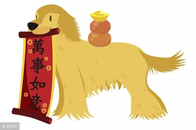 今年2022生肖狗迎来本命年,运势起伏较大的3大生肖