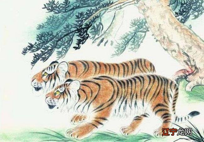 丙寅年问丙寅年月戌子日壬子时出生的人运势咋样?