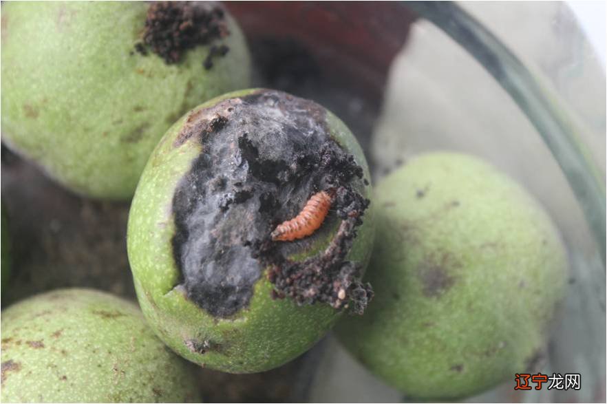 论文 小学作文、中学作文,怎么去写作文?