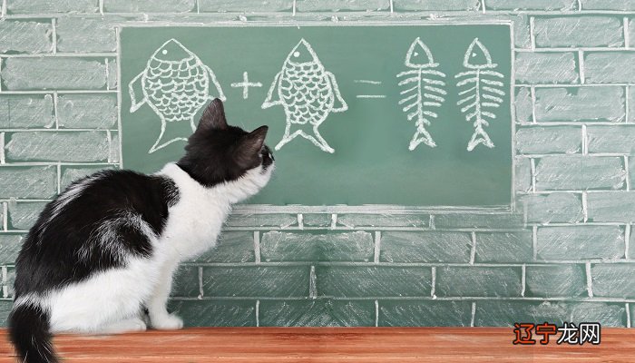 周公解梦:什麽莫名其妙的诈骗诱拐发生的危险征兆