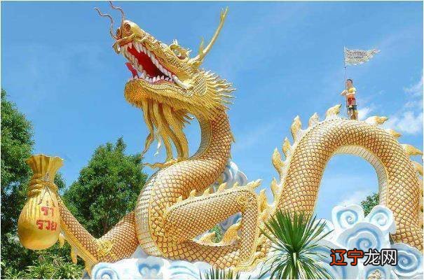 2011生肖兔五行属什么_1988年9月五行属什么_1988年生肖兔五行属什么的