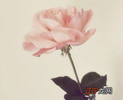 算命的结果说出来后就不灵了吗?周易预测事项