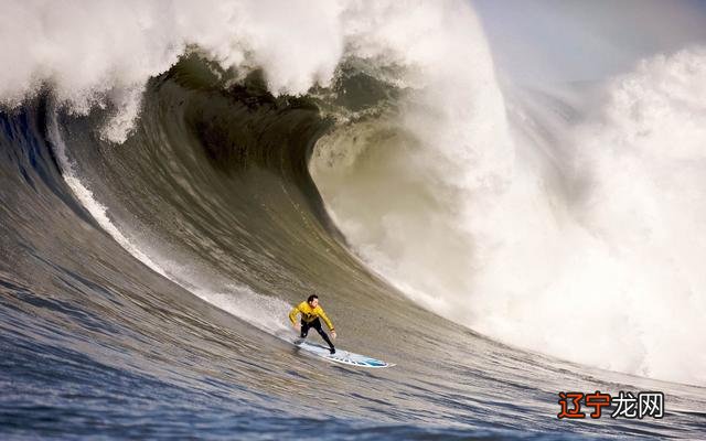 解人颐：生肖虎2019年运势，看完之后记得分享给身边属虎的朋友