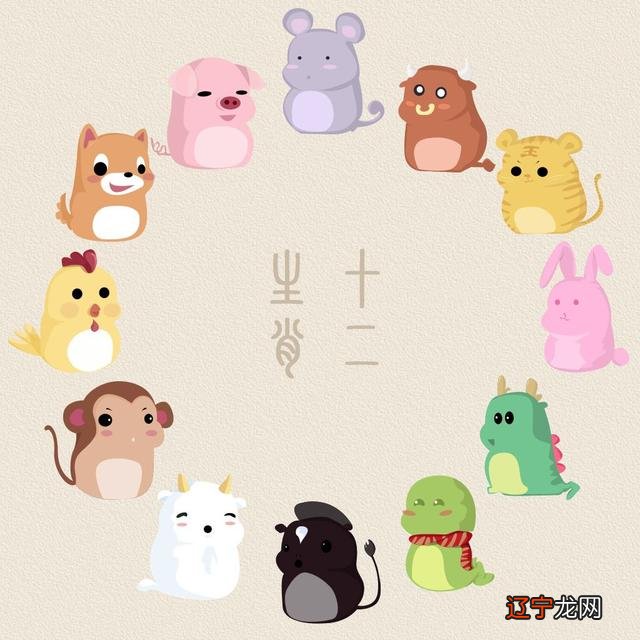 解人颐：生肖虎2019年运势，看完之后记得分享给身边属虎的朋友