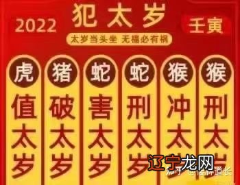 解人颐：生肖虎2019年运势，看完之后记得分享给身边属虎的朋友