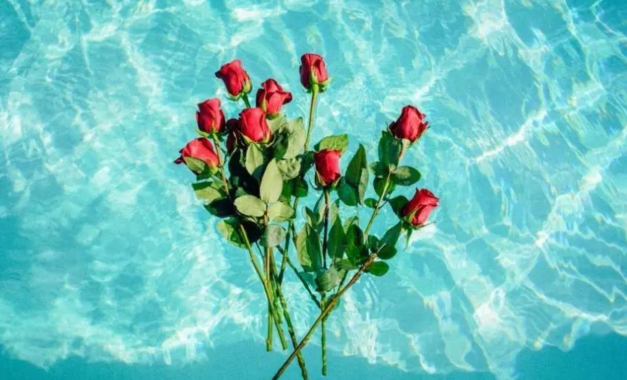 你的性格不可能只是他的太阳星座在影响！