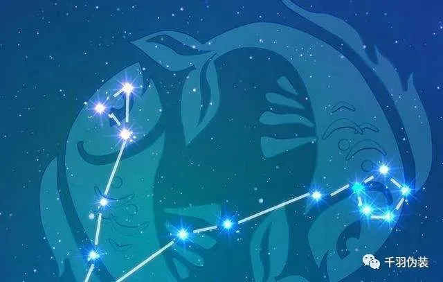 组图 2022年双鱼座会遇到哪个星座的桃花劫？