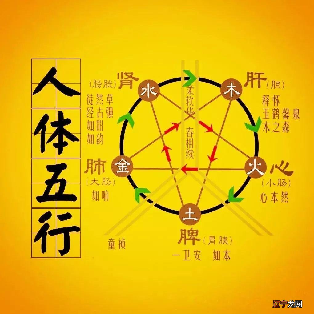 阴阳数字是什么数_和于阴阳法于术数是什么_时时彩阴阳是什么数