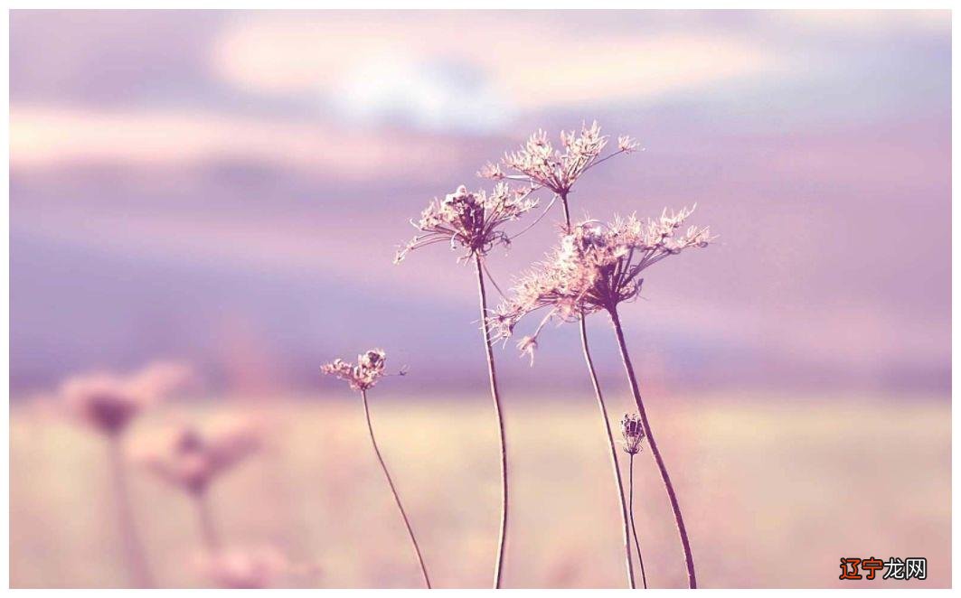 永远在前进巨蟹座泥潭的星座,他们必将在人生中收获美好成就!