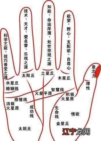 人中面相看你中年运势垂的人朋友运势