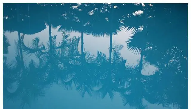 责任心,责任心最强的星座,他们都有什么样的性格特点?