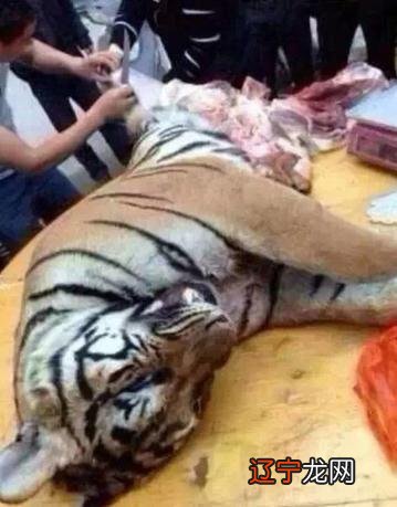 风水堂：梦见吃肉丸子是什么意思？