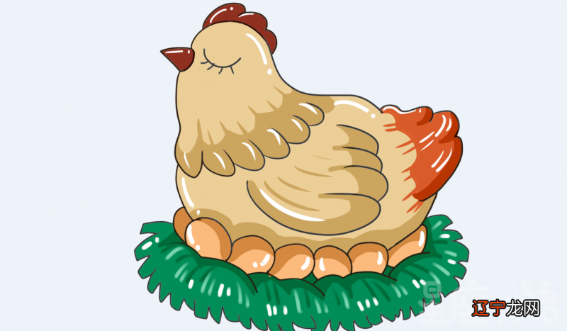 慈世堂：男人梦见鸡下蛋是什么意思呢？