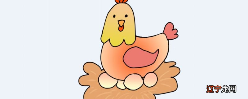 慈世堂：男人梦见鸡下蛋是什么意思呢？