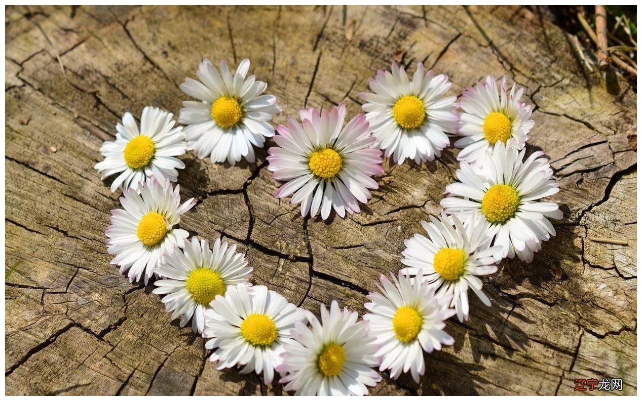 12星座怎么撩他们会比较顺手的星座时尚熊仁?