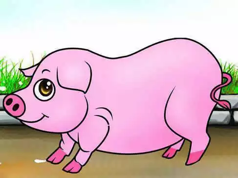 1996年属猪男的和什么属相最配年男生婚配表