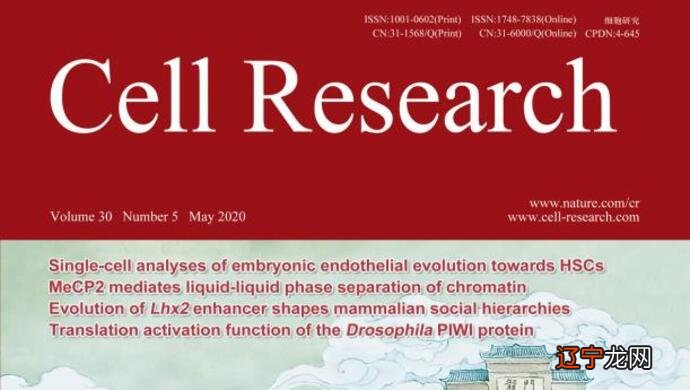 图 中科院因近千万续订费用不堪重负停用中国知网数据库