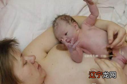 图 给出不同时辰出生的“命”的大体情况