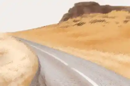 风水学入门看什么书好五术玄学2113山医命相卜,你要是想学卜