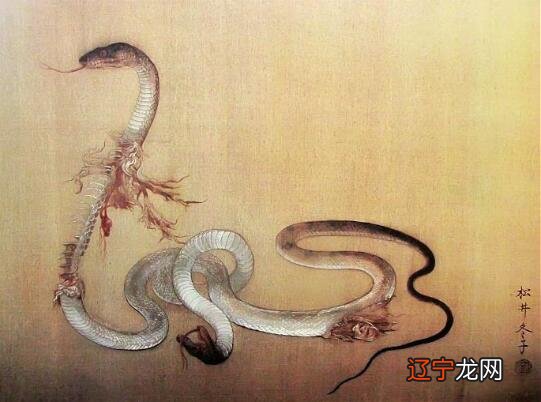 梦见蛇好多什么意思_梦见好多蛇缠身是什么意思_我梦见好多蛇是什么意思