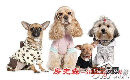 慈世堂:房间太小别养鸟,吉祥好运也会越来越少