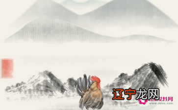 属鸡在生肖的性格可以在星座中属于哪一个星座