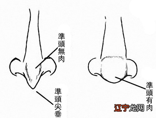 5.6万阅字体：来讲人的自我意识和脾气秉性都可以通过鼻子看出来