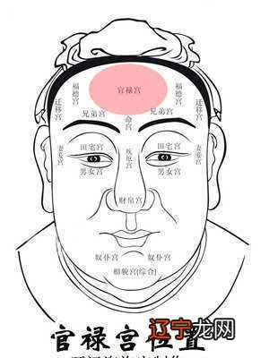 图 谈命理风水堂：谈命理中的官运