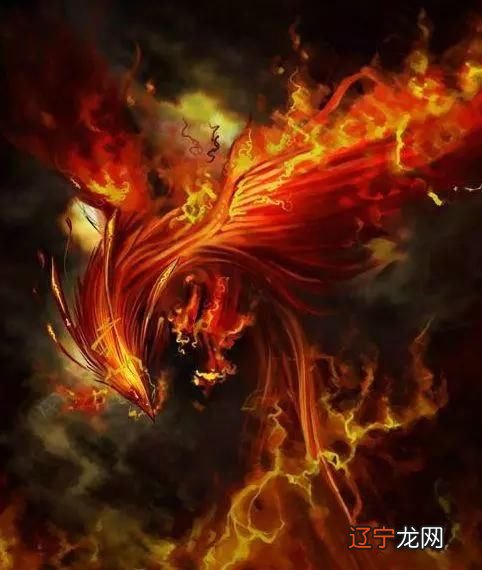 组图 十二星座的守护神兽哪个最厉害星座守护神排名