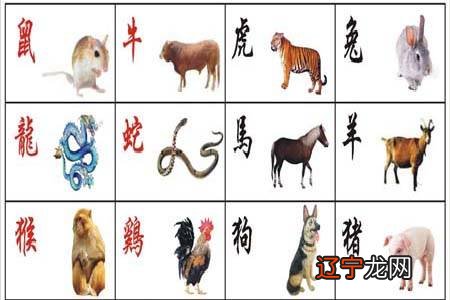 组图 1961年属相是什么,你知道这是怎么回事吗?
