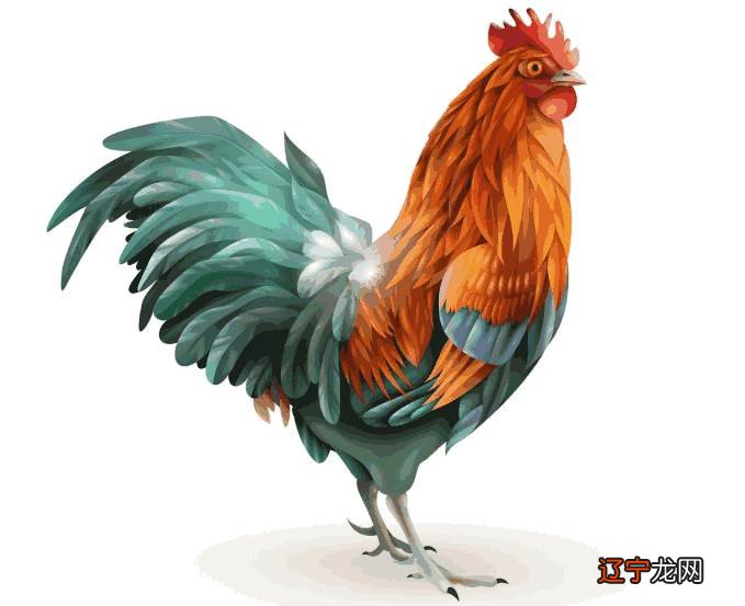 93年出生的属鸡人28岁感情运势如何进入2021年