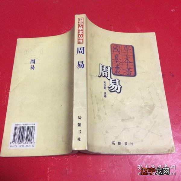 图 冯田亲兵统领汉王府唯二的武道宗师之一