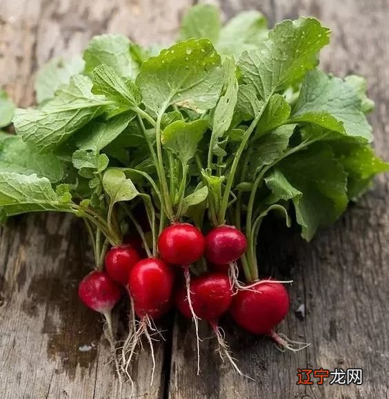 家长给孩子起谐音字字，最后反而害了孩子