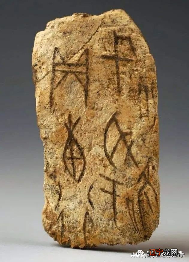 【李向东】奇闻轶事轶事——占卜的效力与效力