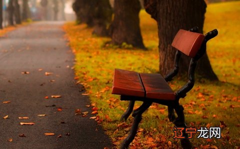 从这一点来讲，该与什么星座匹配最合适？星座配对