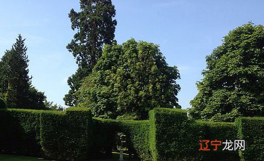 如何为男孩取名字,如何拥有一个大气有涵养的名字